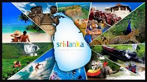 2024දී සංචාරක ව්‍යාපාරයෙන් කෝටි 92,500ක ආදායමක්