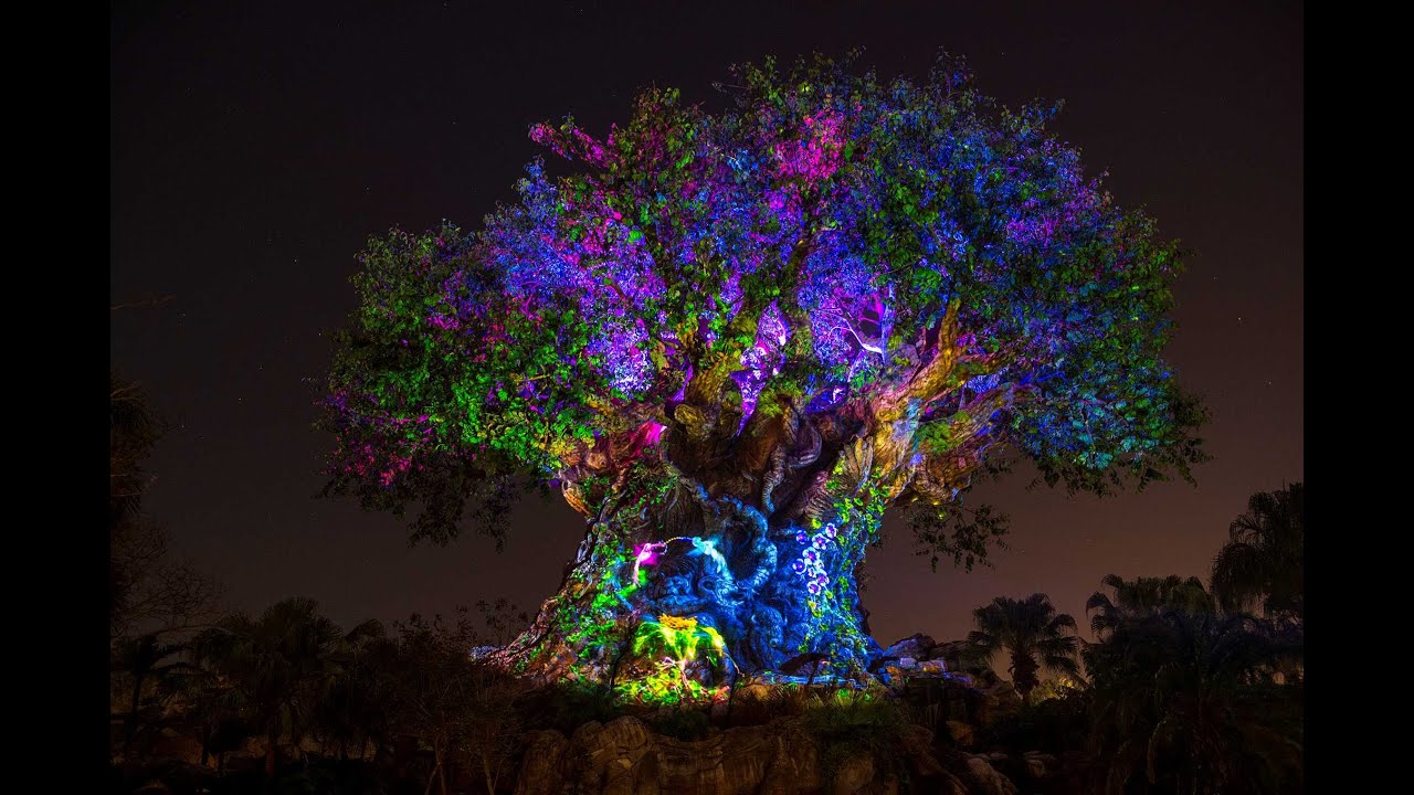 Tree of Life Awakens in Disney Animal Kingdom Night time show (HD ...