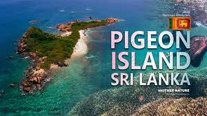 පරවි දූපතේ මුහුදු පතුල ක්ලීන් වෙයි.