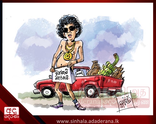 මැති ඇමතිවරුන්ගේ කෝටි ගාණක වත්කම් එළියට.
