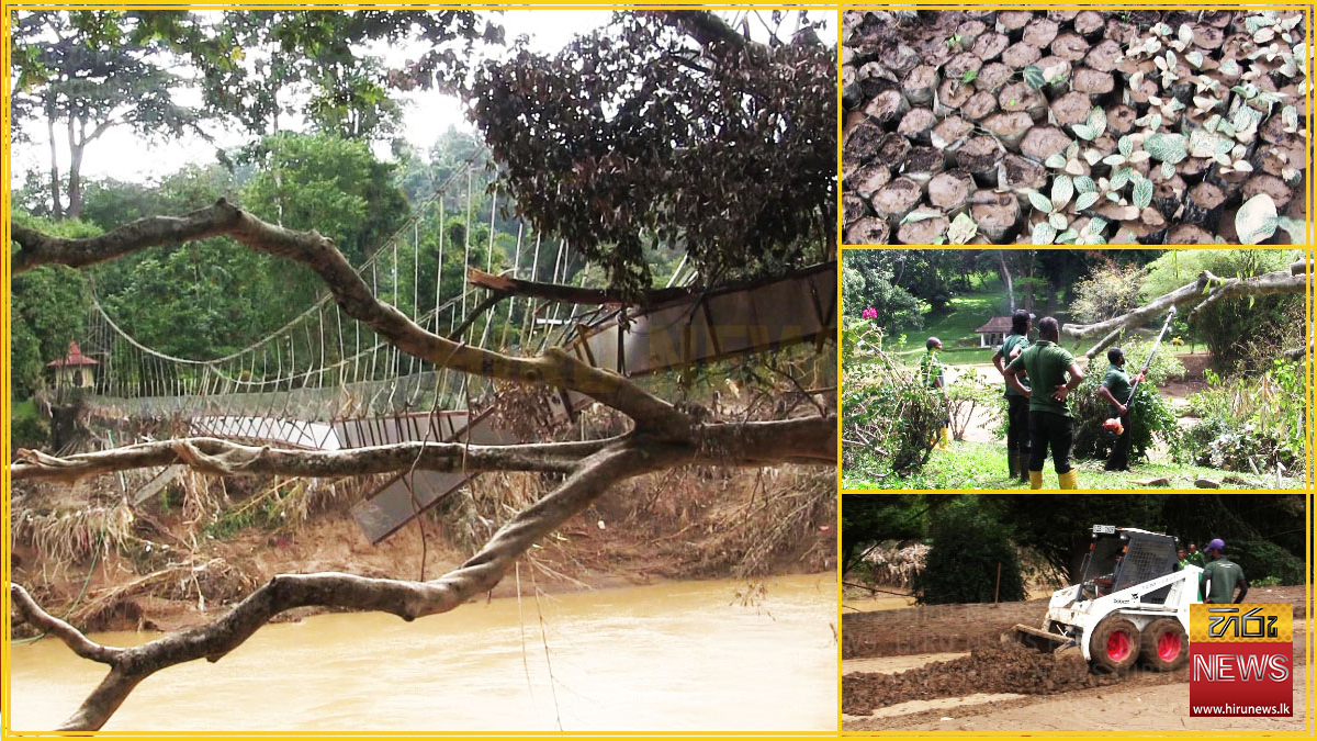 දිට්වා නිසා පේරාදෙණිය මල් වත්තටත් බර හානි.